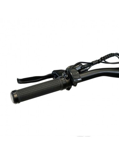 SmartGyro Senda Bicicleta Eléctrica de Montaña Negra