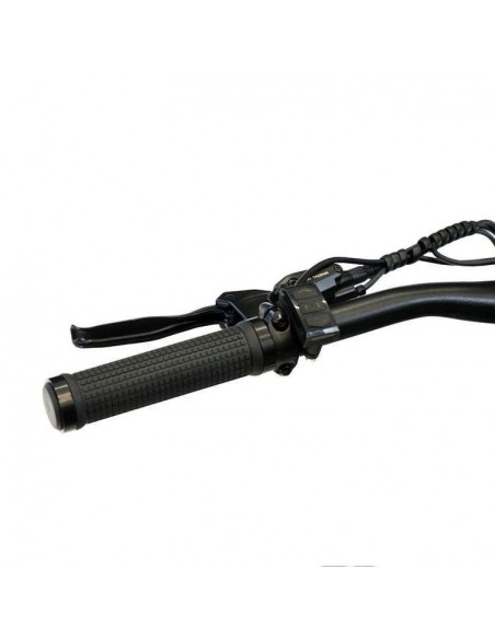 SmartGyro Senda Bicicleta Eléctrica de Montaña Negra