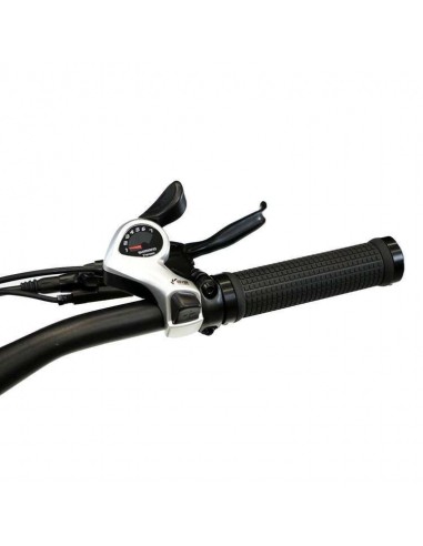SmartGyro Senda Bicicleta Eléctrica de Montaña Negra