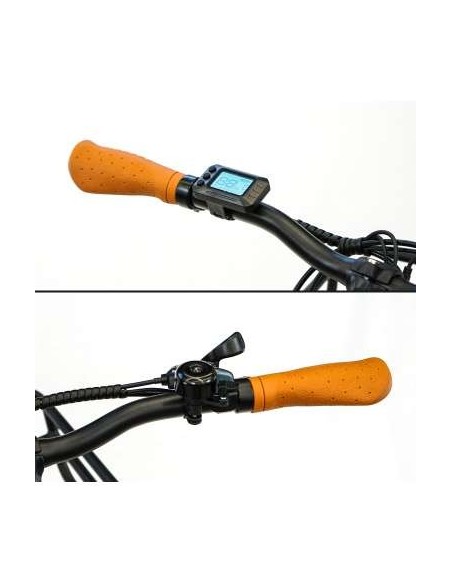 SmartGyro Senda Bicicleta Eléctrica de Montaña Negra
