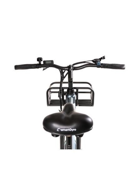 SmartGyro Sunset Bicicleta Eléctrica de Paseo Titanium
