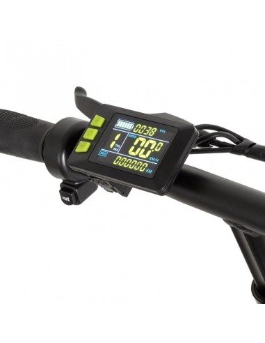 Youin Porto Bicicleta Eléctrica 20" 250W Negra