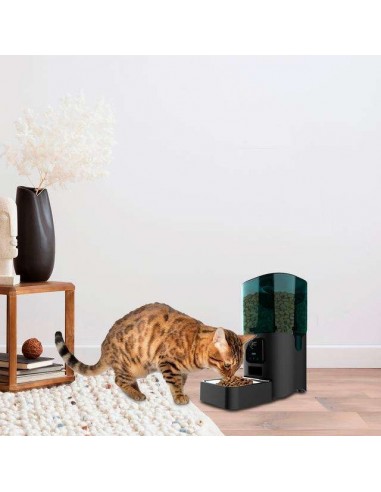 Cecotec Pumba 6000 Purrfect Meal Smart Vision Comedero Automático WiFi para mascotas 6L