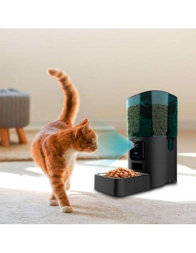 Cecotec Pumba 6000 Purrfect Meal Smart Vision Comedero Automático WiFi para mascotas 6L