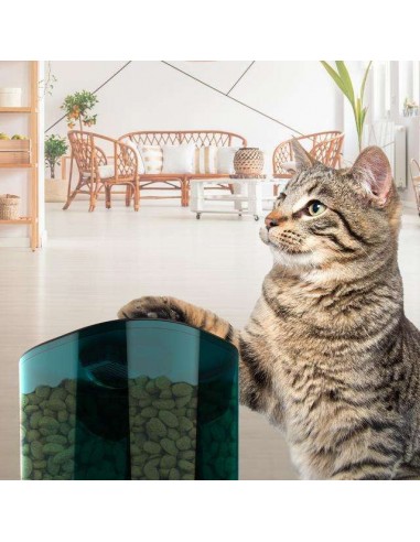 Cecotec Pumba 6000 Purrfect Meal Smart Vision Comedero Automático WiFi para mascotas 6L
