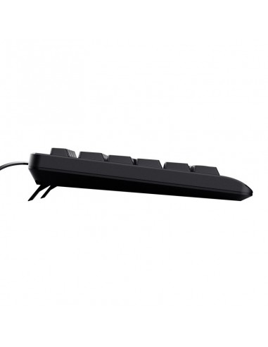 Trust Primo Teclado USB Negro