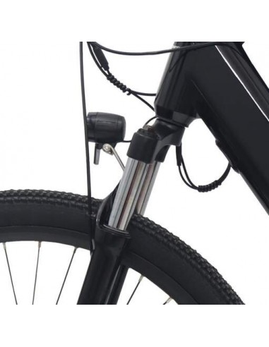 Alfa Romeo Bicicleta Eléctrica MTB Doble Suspensión 250W Negra