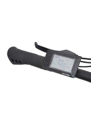 Alfa Romeo Bicicleta Eléctrica MTB Doble Suspensión 250W Negra