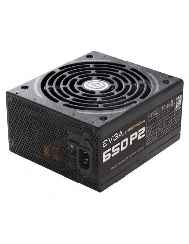 evga-supernova-p2-650w-80-plus-platinum-modular-fuente-4.jpg