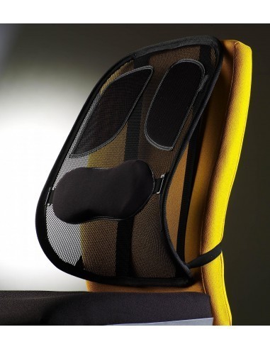 fellowes-cojin-lumbar-mesh-profesional-grafito-1.jpg