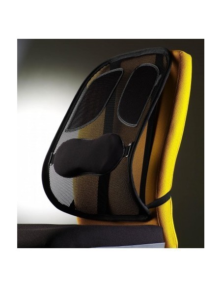 fellowes-cojin-lumbar-mesh-profesional-grafito-1.jpg