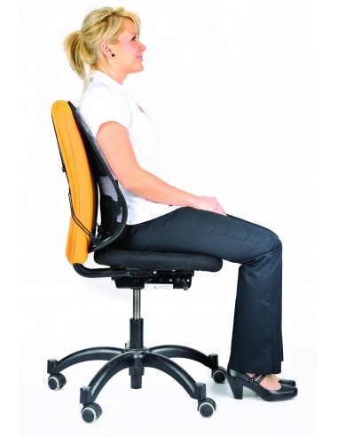 fellowes-cojin-lumbar-mesh-profesional-grafito-2.jpg