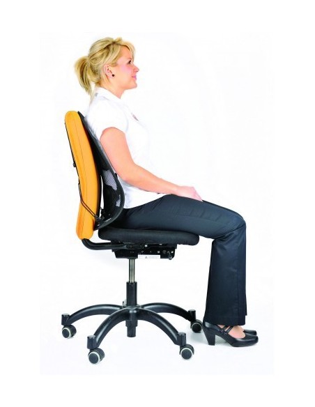 fellowes-cojin-lumbar-mesh-profesional-grafito-2.jpg