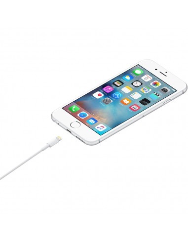 apple-cable-lightning-a-usb-20-macho-macho-blanco-1m-2.jpg