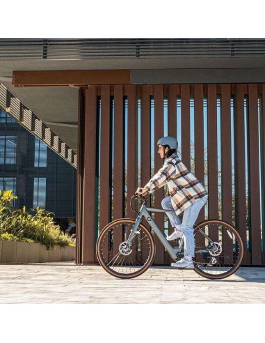 Cecotec Sprint Silve Bicicleta Eléctrica Urbana de 28"
