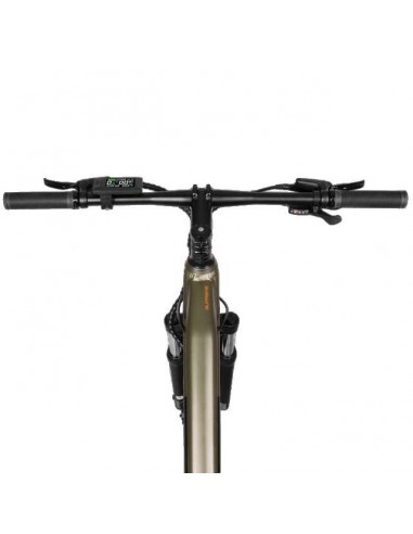 Cecotec Mountain Supreme Bicicleta Eléctrica de Montaña 29" Doble Suspensión