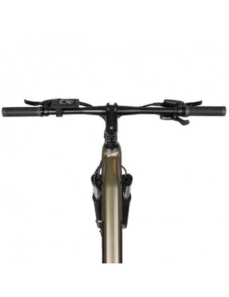 Cecotec Mountain Supreme Bicicleta Eléctrica de Montaña 29" Doble Suspensión