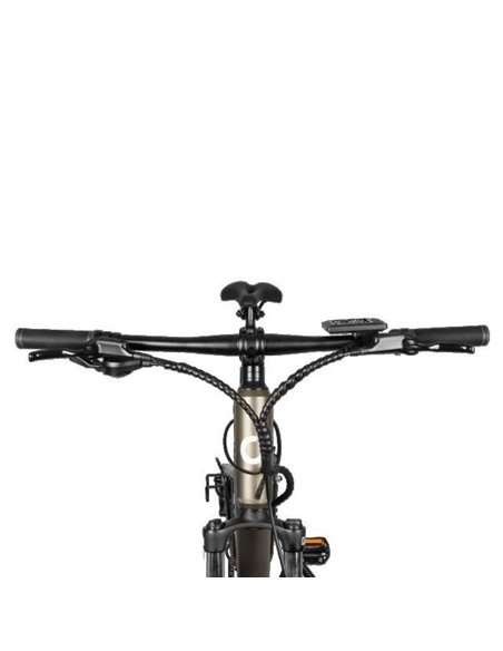 Cecotec Mountain Supreme Bicicleta Eléctrica de Montaña 29" Doble Suspensión