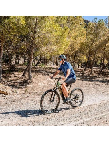 Cecotec Mountain Supreme Bicicleta Eléctrica de Montaña 29" Doble Suspensión