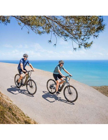 Cecotec Mountain Avanti Bicicleta Eléctrica de Montaña 29" Suspensión Delantera