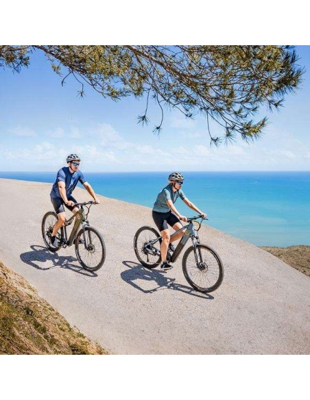Cecotec Mountain Avanti Bicicleta Eléctrica de Montaña 29" Suspensión Delantera