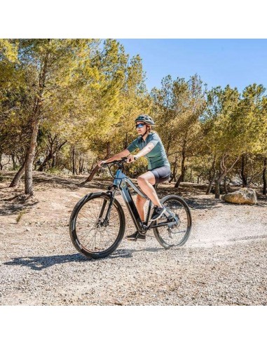 Cecotec Mountain Avanti Bicicleta Eléctrica de Montaña 29" Suspensión Delantera
