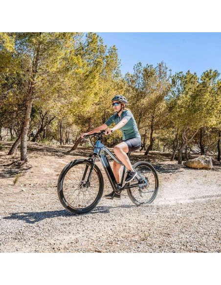 Cecotec Mountain Avanti Bicicleta Eléctrica de Montaña 29" Suspensión Delantera