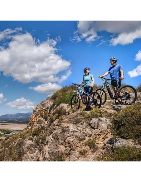 Cecotec Mountain Avanti Bicicleta Eléctrica de Montaña 29" Suspensión Delantera