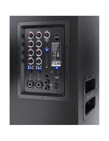 Sharp CP-LS100 SumoBox Altavoz Portátil de Alto Rendimiento 120W Negro