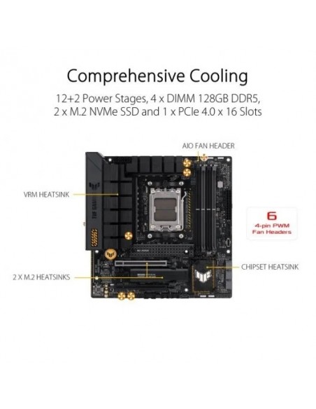 Asus TUF GAMING B650M-PLUS WiFi mATX Placa Base