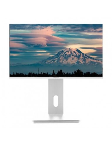 Approx APPM27SW 27" LED VA FullHD 100Hz Blanco Monitor