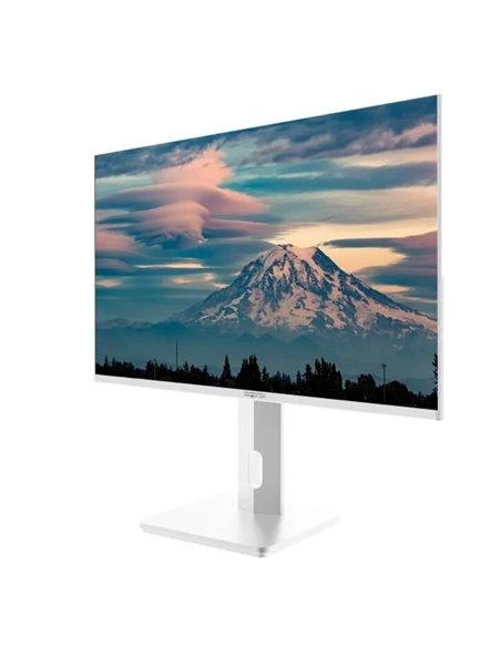 Approx APPM27SW 27" LED VA FullHD 100Hz Blanco Monitor