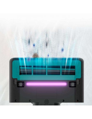 Cecotec Conga Rockstar 4000 Mattress Aspirador de Colchones y Tapicerías 400W