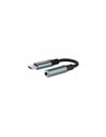 Newskill Mic Holder Brazo de Soporte para Micrófono