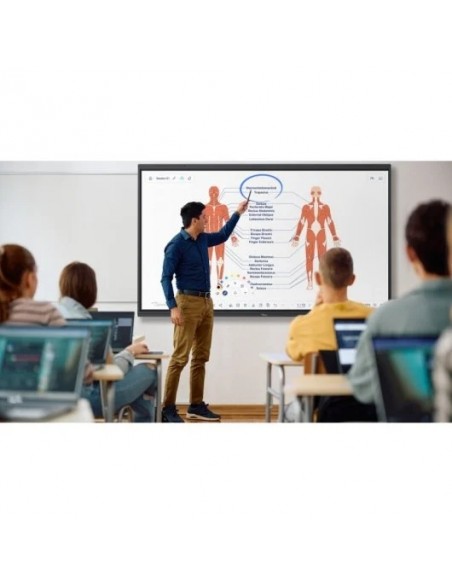 Optoma Premium Creative Touch Serie 5 de 65" Pantalla Interactiva Certificación Google EDLA Táctil