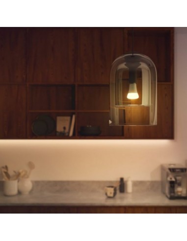 Philips Hue White Ambiance Bombilla Inteligente A67 E27 1600 lm