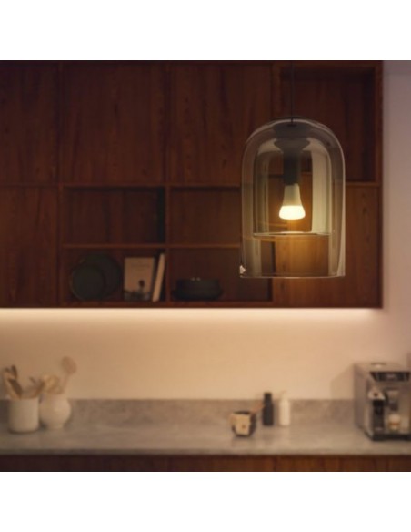 Philips Hue White Ambiance Bombilla Inteligente A67 E27 1600 lm