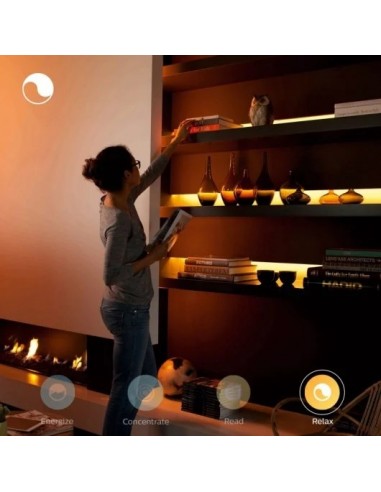 Philips Hue White and Color Ambiance Base Tira de Luz Plus V4 2m 1700 lm