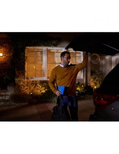 Philips Hue Bridge Centro de Control Inteligente