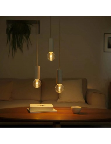 Philips Hue Bombilla inteligente G95 - E27