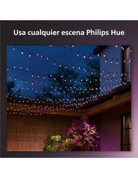 Philips Hue Guirnalda de Luces Festavia 500 Leds 40m