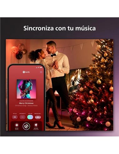 Philips Hue Guirnalda de Luces Festavia 500 Leds 40m