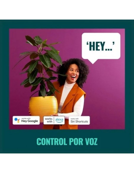 WiZ Enchufe Inteligente WiFi con Control de Energía