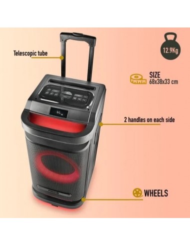 NGS Wild Space 1 Altavoz Portátil Inalámbrico Batería con Woofer 10" TWS BT/USB/AUX 180W RMS Negro
