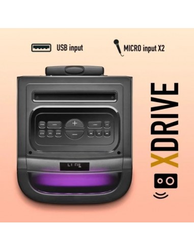 NGS Wild Space 1 Altavoz Portátil Inalámbrico Batería con Woofer 10" TWS BT/USB/AUX 180W RMS Negro