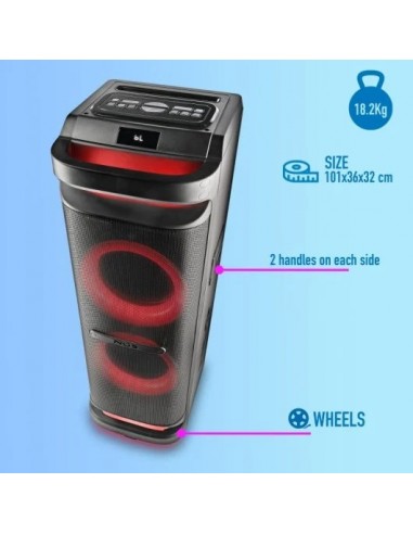 NGS Wild Space 3 Altavoz DJ Portátil Inalámbrico BT/USB/AUX IN 800W RMS Negro