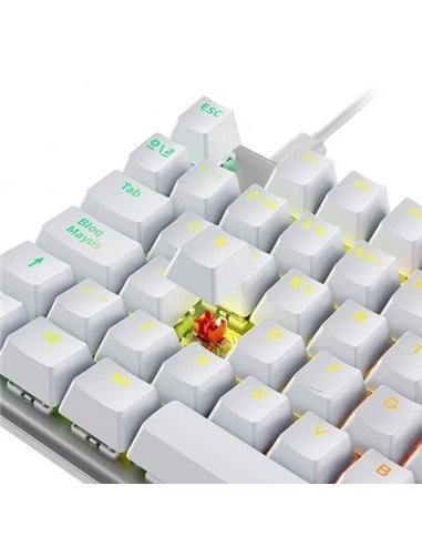 Newskill Serike V2 TKL Teclado Gaming Mecánico RGB Blanco NewSwitch Red