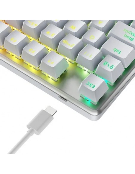 Newskill Serike V2 TKL Teclado Gaming Mecánico RGB Blanco NewSwitch Red