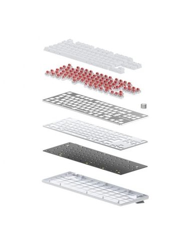 Newskill Serike V2 TKL Teclado Gaming Mecánico RGB Blanco NewSwitch Red
