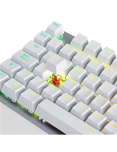 Newskill Serike V2 Teclado Gaming Gaming RGB Blanco NewSwitch Red
